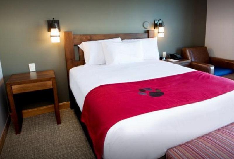 Great Wolf Lodge Bloomington Eksteriør bilde